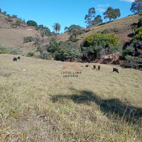 fazenda-venda-caete-minas-gerais-912843