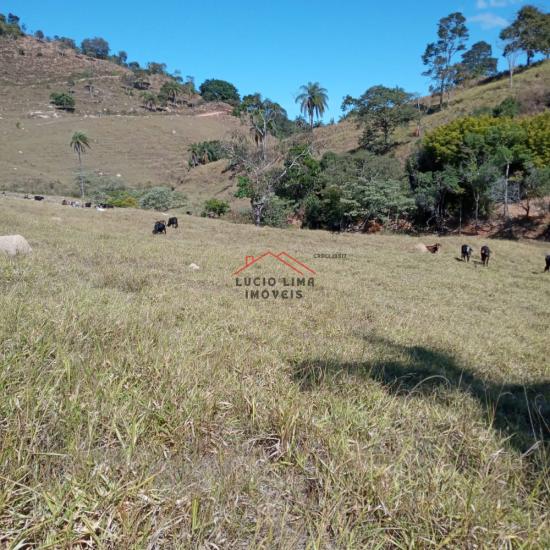 fazenda-venda-caete-minas-gerais-912847