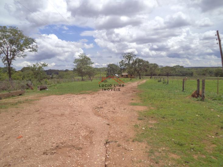 fazenda-venda-corinto-com-santo-hipolito-minas-gerais-913468