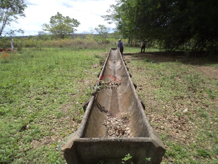 fazenda-venda-corinto-com-santo-hipolito-minas-gerais-913470