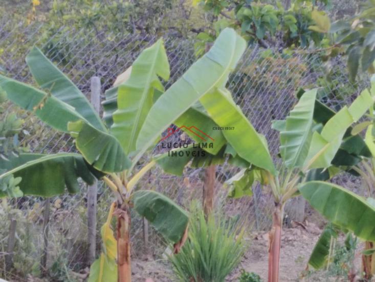 fazenda-venda-serra-do-cipo-915829