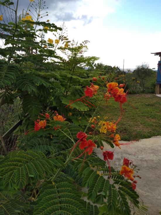 fazenda-venda-serra-do-cipo-915821