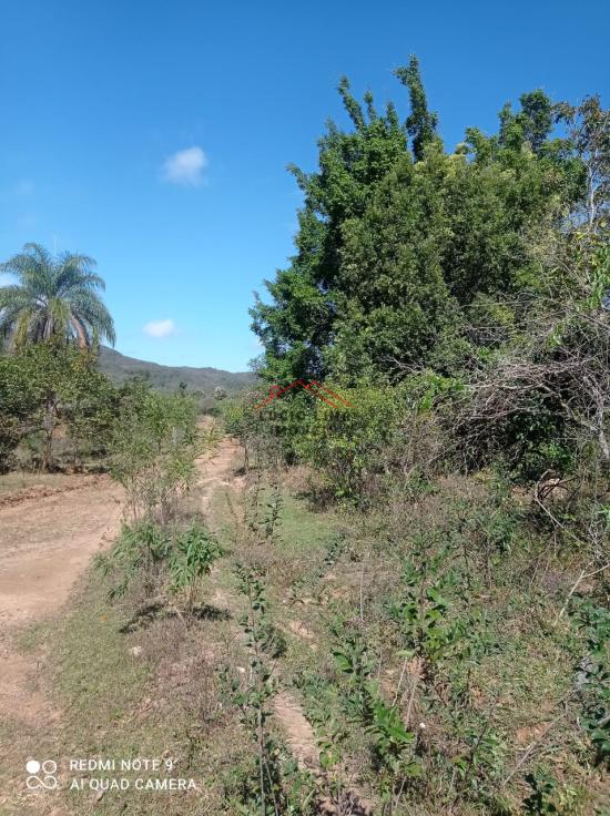 fazenda-venda-olhos-d`agua-minas-gerais-918108