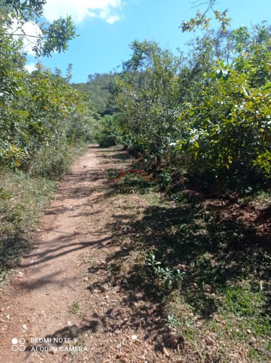 fazenda-venda-olhos-d`agua-minas-gerais-918109