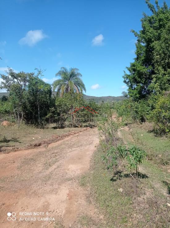 fazenda-venda-olhos-d`agua-minas-gerais-918110