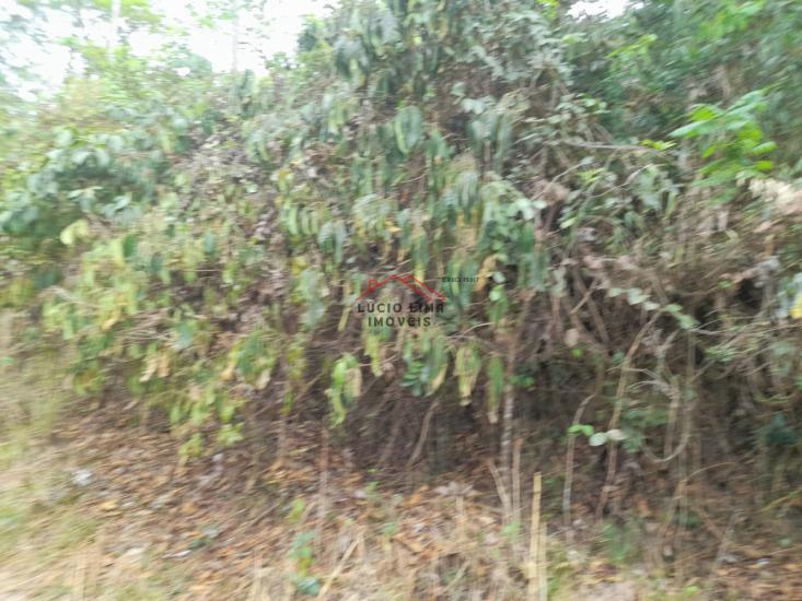 chacara-venda-quintas-do-godoy-betim-936814