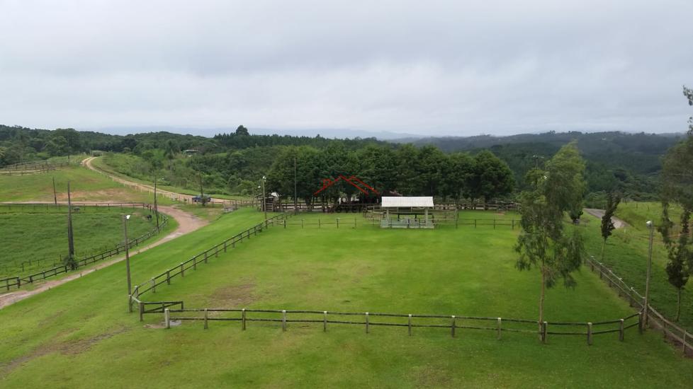 fazenda-venda-tijuca-do-sul-curitiba-921866