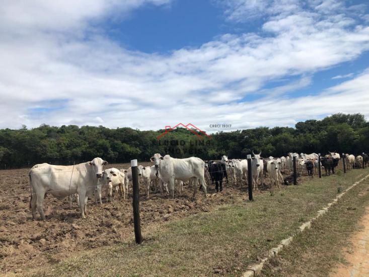 fazenda-venda-oliveira-minas-gerais-923007